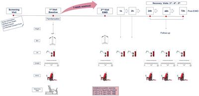 Preliminary Investigations Into the Effect of Exercise-Induced Muscle Damage on Systemic Extracellular Vesicle Release in Trained Younger and Older Men